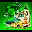 Icon of program: Войди в мою реку