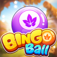 Icoon van programma: Bingo Ball