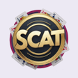 プログラムのアイコン：Scat 31