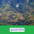Icon of program: Bhulekha Odisha
