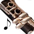 أيقونة البرنامج: How To Play Clarinet