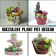 Icon of program: Succulent plant pot desig…