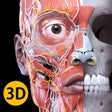 أيقونة البرنامج: Anatomy 3D Atlas