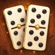 Icon of program: Domino online - play domi…