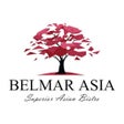 Programın simgesi: Belmar Asia