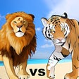 プログラムのアイコン：Lion Vs Tiger Wild Animal…