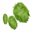 Icon of program: Brewer's Friend Hop Total