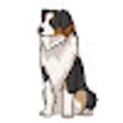 プログラムのアイコン：ChatGPT Shepherd