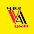 Icon of program: Telsura - Voice Assam