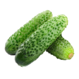 Ikon program: Cucumber: from "A" to "Z"