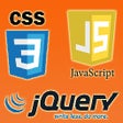 Icoon van programma: Custom CSSJS
