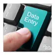 Data Entry Guides Great IT Job