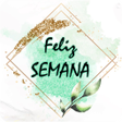 程序图标：UMA SEMANA MARAVILHOSA PA…