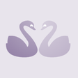 程序图标：Horoscope Matcher