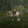 Icon of program: Ardennes Redemption