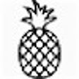 Icon of program: Pineapple Pay