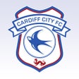 أيقونة البرنامج: Cardiff City FC