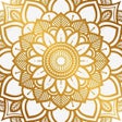 أيقونة البرنامج: Mandala Maker 360