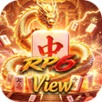 程序图标：RP6View