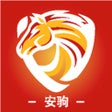 Ícone do programa: 安一驹