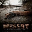Programikonen: S.T.A.L.K.E.R.: Misery