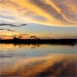 Icon of program: Amazon Landscapes PREMIUM