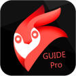 Icon of program: Guide for Enlight Pixaloo…