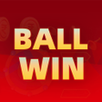 Icon of program: BallWinTmat