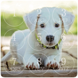 プログラムのアイコン：Cute Puppy Lock Screen
