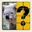 Ikon program: Guess The Picture : Puzzl…