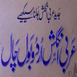 程序图标：Arabi English Urdu Bol Ch…