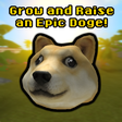 Icon of program: Grow and Raise an EPIC Do…