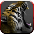 Icon of program: Big Cats Sounds
