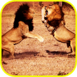 Pk African Lions Fight icon