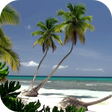Icon of program: Ocean Beach Live Wallpape…