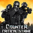 Counter Critical Strike CS