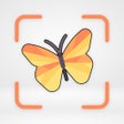 程序图标：Insects  Bugs Identifier …