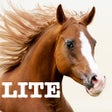 프로그램 아이콘: Horse Jigsaw Puzzle Games