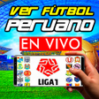 Partidos de Perú 2022 en Vivo icon