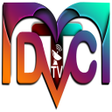 程序图标：Dtc sat tv