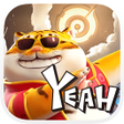 程序图标：Your Tiger