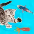 Peppy fishes for cats toy game