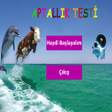 程序图标：Aptallık Testi