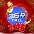プログラムのアイコン：Ball 360