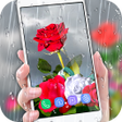 程序图标：Rose Live Wallpaper 2018 …