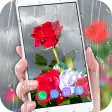 Rose Live Wallpaper 2018 with Waterdrops