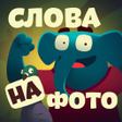 Иконка программы: Фотослон - найди слова на…