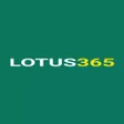 程序图标：Lotus365