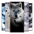 أيقونة البرنامج: Wolf wallpapers