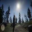 Icon of program: Natural Reshade